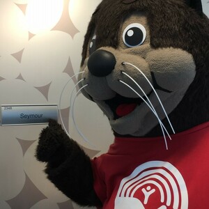 Fundraising Page: Seymour's Striders